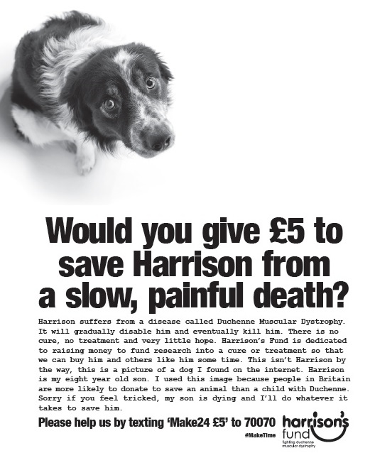 Harrisons fund - Dog.jpg